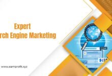 Expert Search Engine Marketing