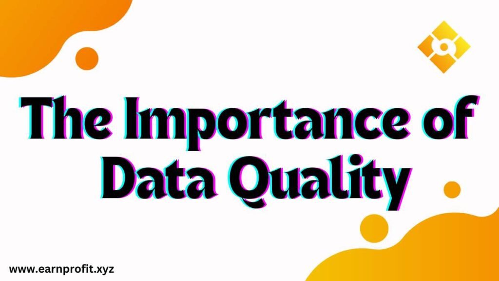 The Importance of Data Quality