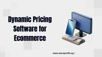 Dynamic Pricing Software for Ecommerce