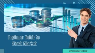 Beginner Guide to Stock Market